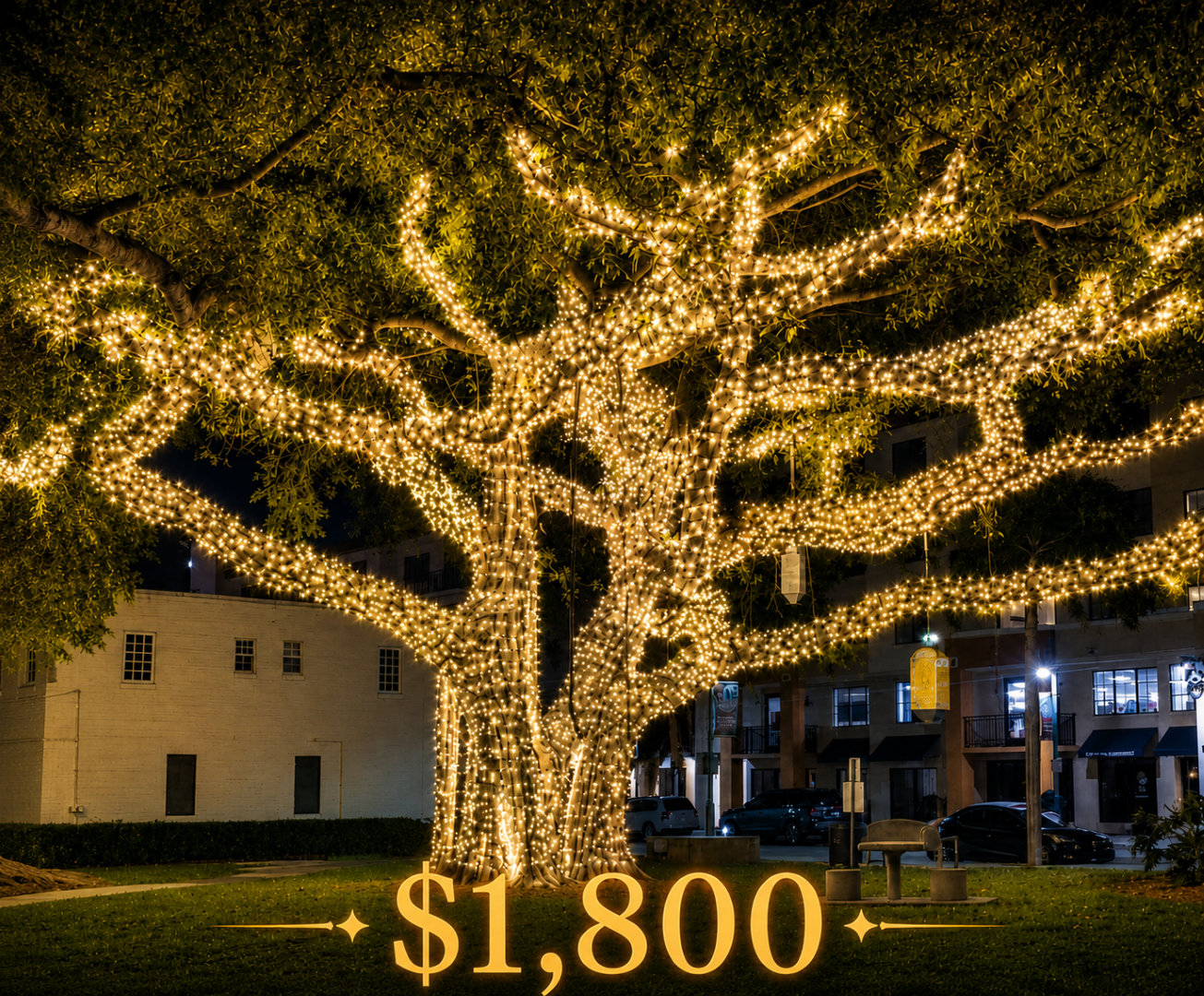 A home decorated with a custom Christmas light display